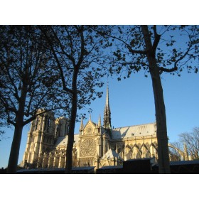 Notre Dame #6